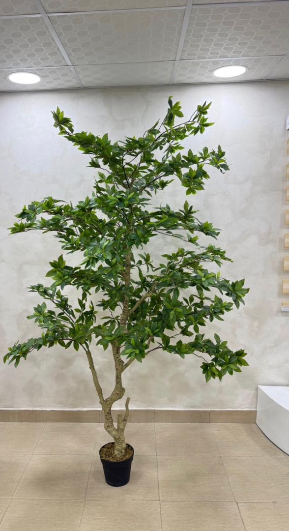 Large artificial tree in showroom